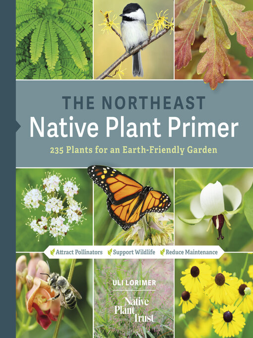 Title details for The Northeast Native Plant Primer by Uli Lorimer - Wait list